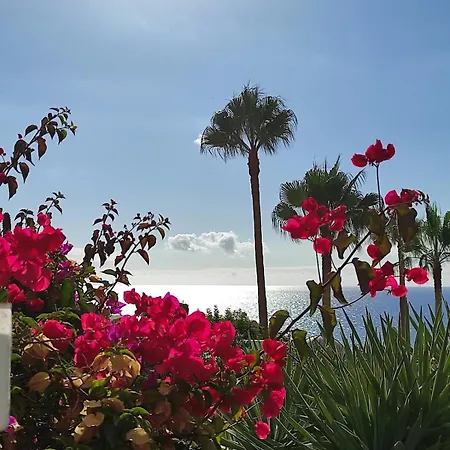 Apartament In Playa Paraiso Tenerife *