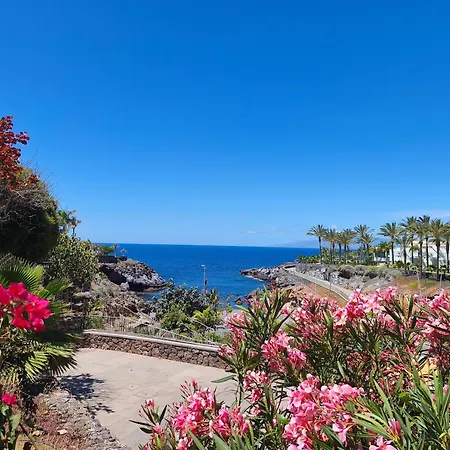 Lejlighed In Playa Paraiso Tenerife Costa Adeje (Tenerife)