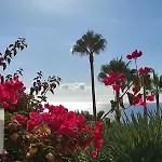Apartment In Playa Paraiso Tenerife *